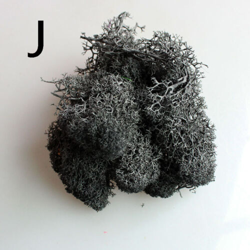 Natural Reindeer Moss Preserved Norwegian Dried Craft Decorations Wreath Green - Picture 21 of 26