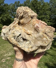 Missouri Fossilized Coral Druzy Quartz Fossils Crystals