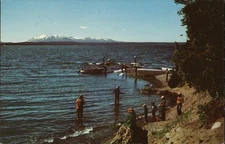 Fishing Yellowstone Lake Chrome Original Vintage Postcard