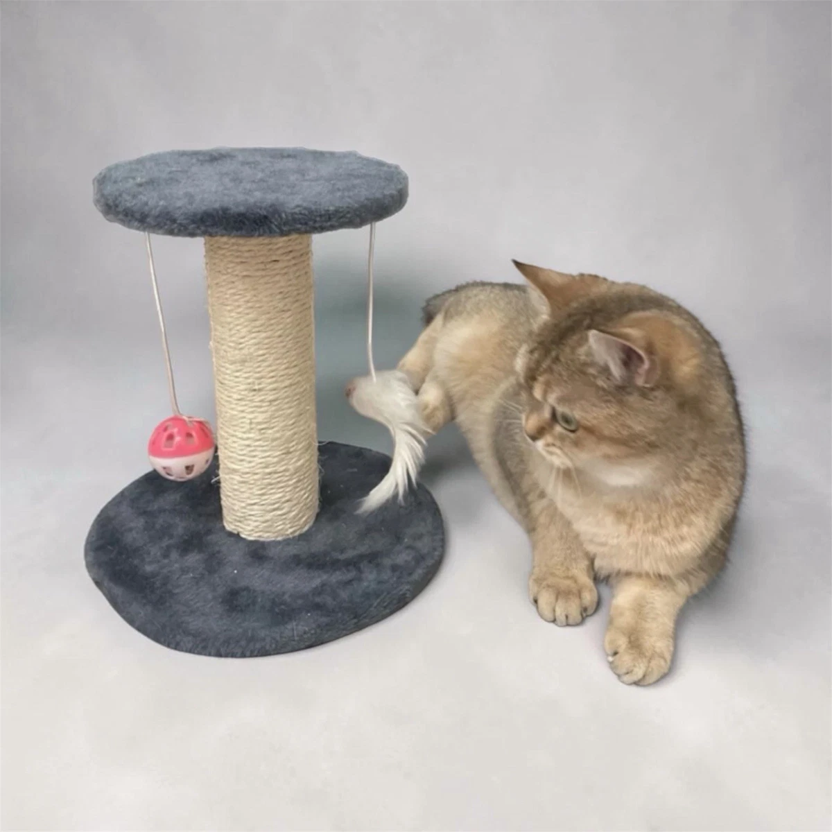 Felix Kratzbume und Mbel fr Katzen online kaufen | eBay.de