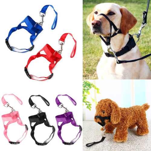 Dog Pet Head Collar Gentle Halter Leash Leader No Pull Straps for Training Dogs - Picture 1 of 18