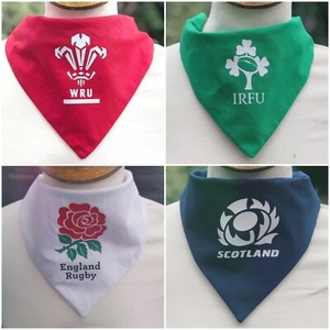 doberman food allergies