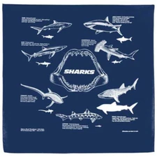 Printed Image Sharks Bandanna 22" x 22" NAVY BLUE Survival Facts Informational