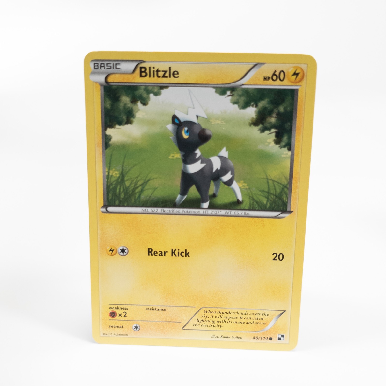 Blitzle 40/114 Pokemon Black and White Common NM