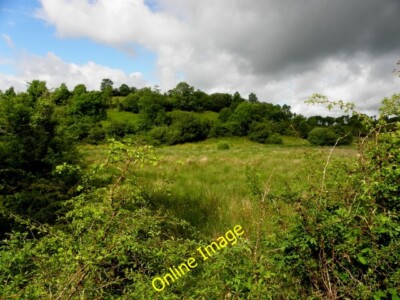Foto 6x4 Greyfield Townland Killadiskert Blick nach Westen in Richtung o c2014