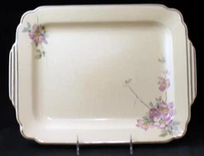 Homer Laughlin Briar Rose Century Shape 13 Inch Platter C215