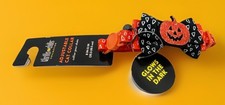 Thrills & Chills Halloween Pumpkin Cat Collar Glows In The Dark 8”-12”
