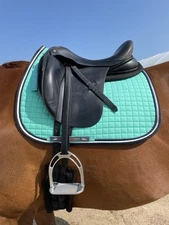 Black Country Bellissima Dressage Saddle *Short Flap!!*