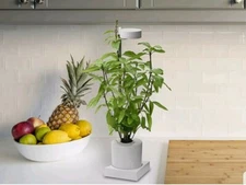  Leafy Indoor LED Desktop Aerogarden Hydroponics & Grow Light System 