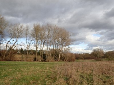 Photo A3 A very windy day on East Wickham Open Space Bexley This former  c2022