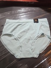 NWT Wacoal B-Smooth Pretty Bikini 873374 - Mint Green -size L