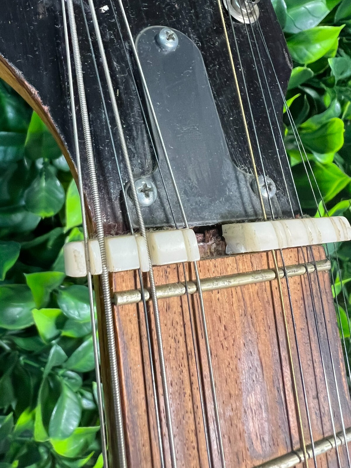 Egmond Brothers of Holland 12 String Accoustic Guitar with Cloth Case