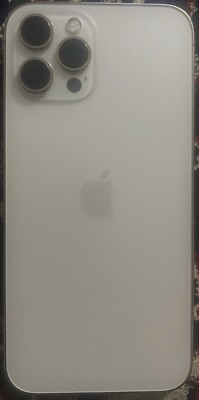 TikTok Installed iPhone 12 Pro Max, 256 GB. Unlocked