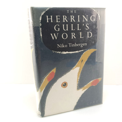 The Herring Gull's World Niko Tinbergen Social Behaviour Of Birds 1965 HC Book