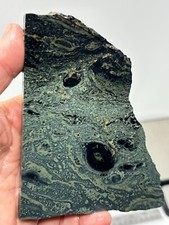 Kambaba Jasper Stromatolite Slab Lapidary Cabbing Combo Ship Avail