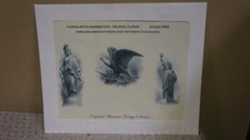 2003 FLORIDA FUN BEP SOUVENIR CARD B 265 FREEDOM EAGLE STATUE OF LIBERTY VIGNETT