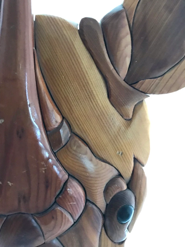 Escultura de rinoceronte de madera, pegada al respaldo de madera, decoración de sabana africana, relieve de madera. Foto 4 de 4