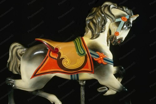 Glen Echo Dentzel Carousel Horse 31 1920s Professional Photo Lab Reprint - 第 1/1 張圖片