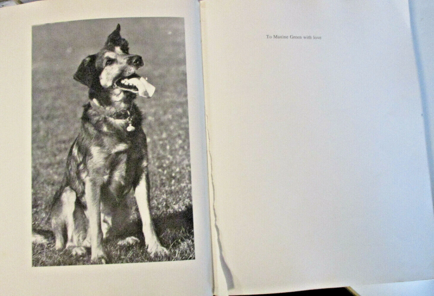 Picture 2 of 6
