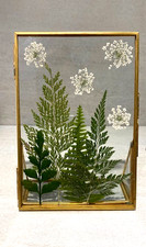Handmade pressed real dried flowers in brass double glass floating frame