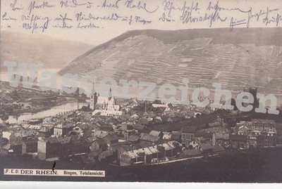 AK gel. 1905 F.E.D. DER RHEIN. Bingen, Totalansicht (5263)