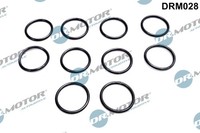 Dr.Motor Automotive Dichtring ÖLablaßSchraube FüR Opel Corsa D Astra J F Mk VI