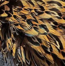 PHEASANT FEATHERS 150 HACKLE LOOSE HAND SELECTED FLYS  ARTS AND CRAFTS