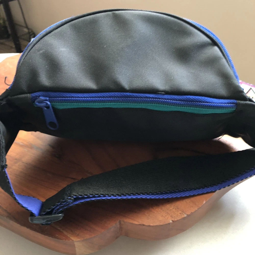 Belt Bag Fashionable Waist Fanny Pack Purse Padded Hip Bag
