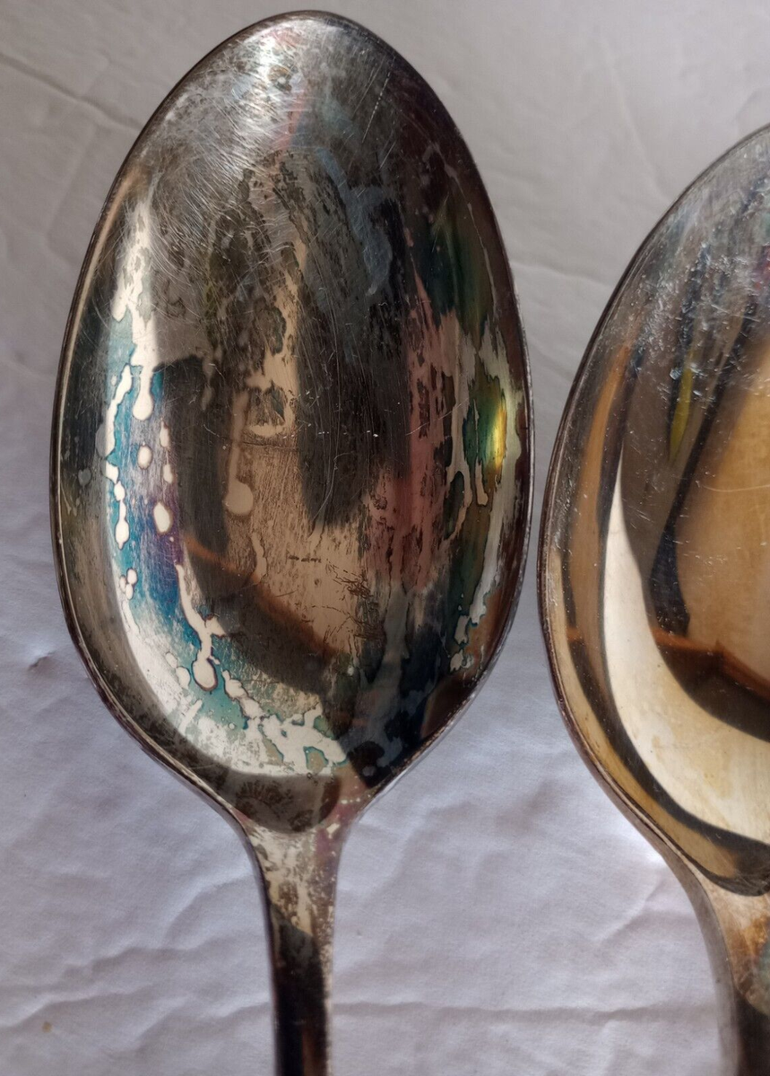 Gorham Stegor Silverplate Aloha Mimosa Hibiscus Flower Serving
