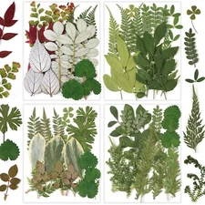 84 Pcs Dried Pressed Leaves Flowers Real Natural Dried Leaves Plant Kit Assor...