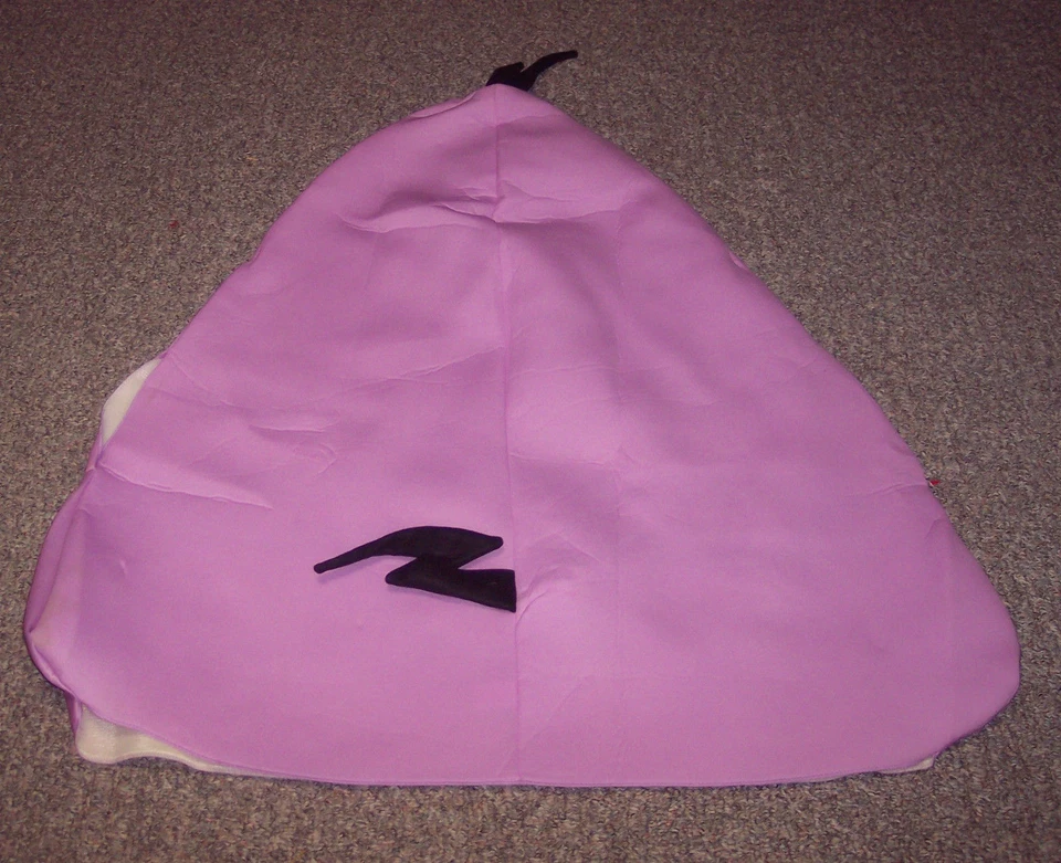 Disfraz de Halloween LAZER SPACE BIRD Angry Bird para Adultos Usado en Excelente Condición      Foto 3 de 3