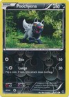 Poochyena 53/119 XY - Phantom Forces