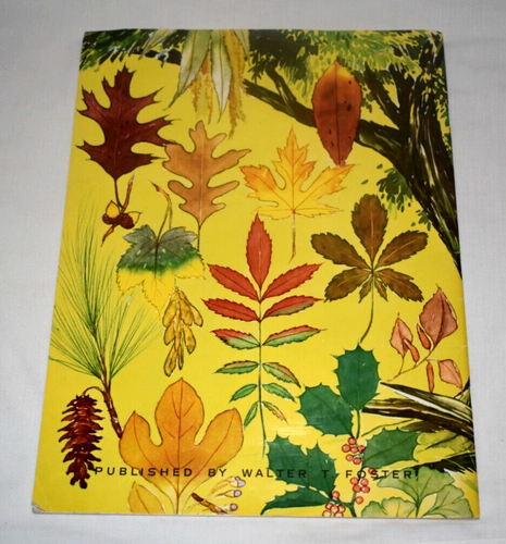 More Trees Frederick Garner Walter Foster Vintage Art Book How To Draw - Picture 2 of 10