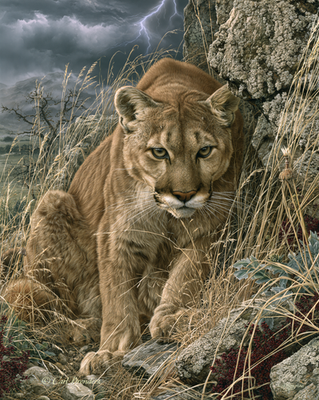 #ad 8x10 Cougar Beneath a Lightning Storm Art Print 292231163 $6.95