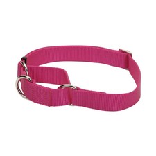 Coastal Pet - No Slip - Martingale Adjustable Dog Collar, Pink Flamingo, 3/4"...