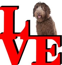 Labradoodle Dog Love Park Dog Fridge Refrigerator Car Magnet