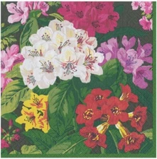 Caspari Paper Luncheon Napkins, Exuberance Black - 2 Packs (14961L)