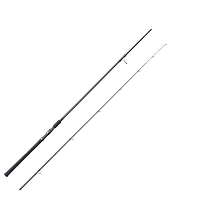 TENRYU Spinnrute POWER MASTER PM972S-M