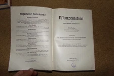 ANTIQUE  1916 KERNER-HANFEN Pflanzenleben Phenology phrenolgy book in German