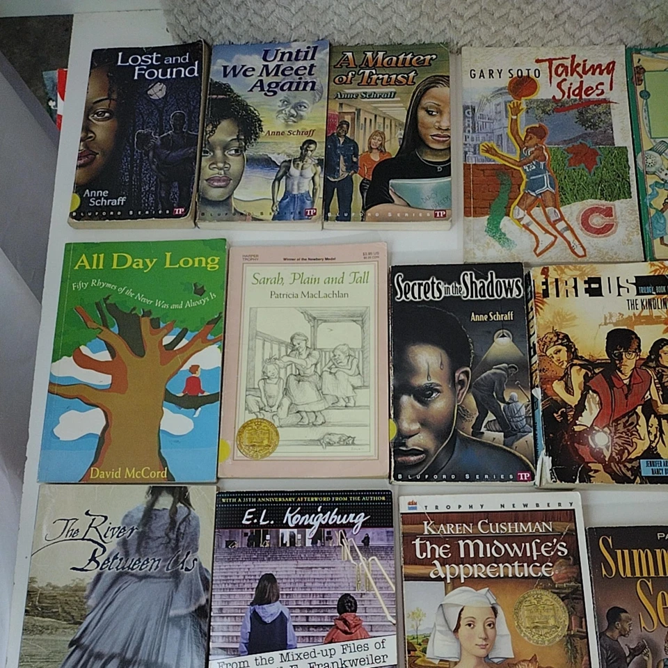 Lot of 21 Young Adult Books Paperbacks Bluford Series Hinton Paulsen Konigsburg - Image 3 of 4