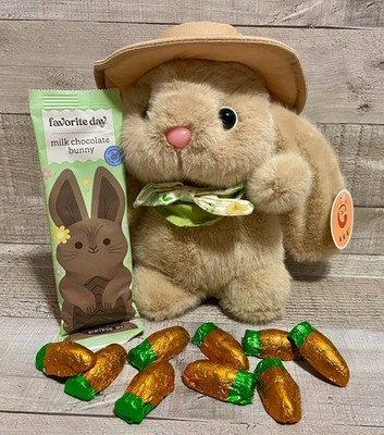 Teen Happy Easter Bunny W/ Spring Floppy Hat & Easter Chocolates Basket Filler