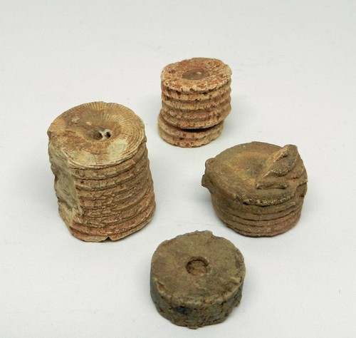 4 lot Fossilized Crinoid Stem Segments Sea Lily Fossils Indian Beads Fairy coins