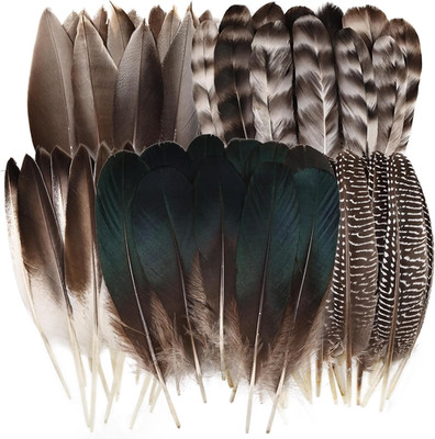 30Pcs Pheasant Feathers -5 Style Natural Mixed Decorative Spotted Feathers for D