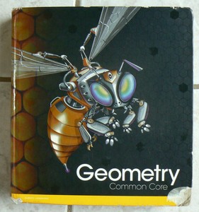 Pearson enVision GEOMETRY, 2012 HC text Common Core Math 9780133185829
