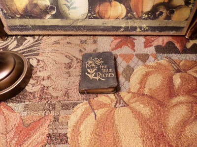 #ad The True Riches Northern Publishing Office Softcover $38.50