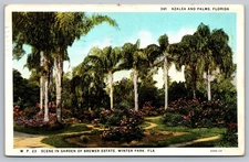Vintage Azalea and Palms Postcard Brewer Estate Winter Park Fla