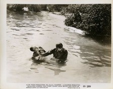 rod cameron gale storm Stampede  Original 8x10  photo 