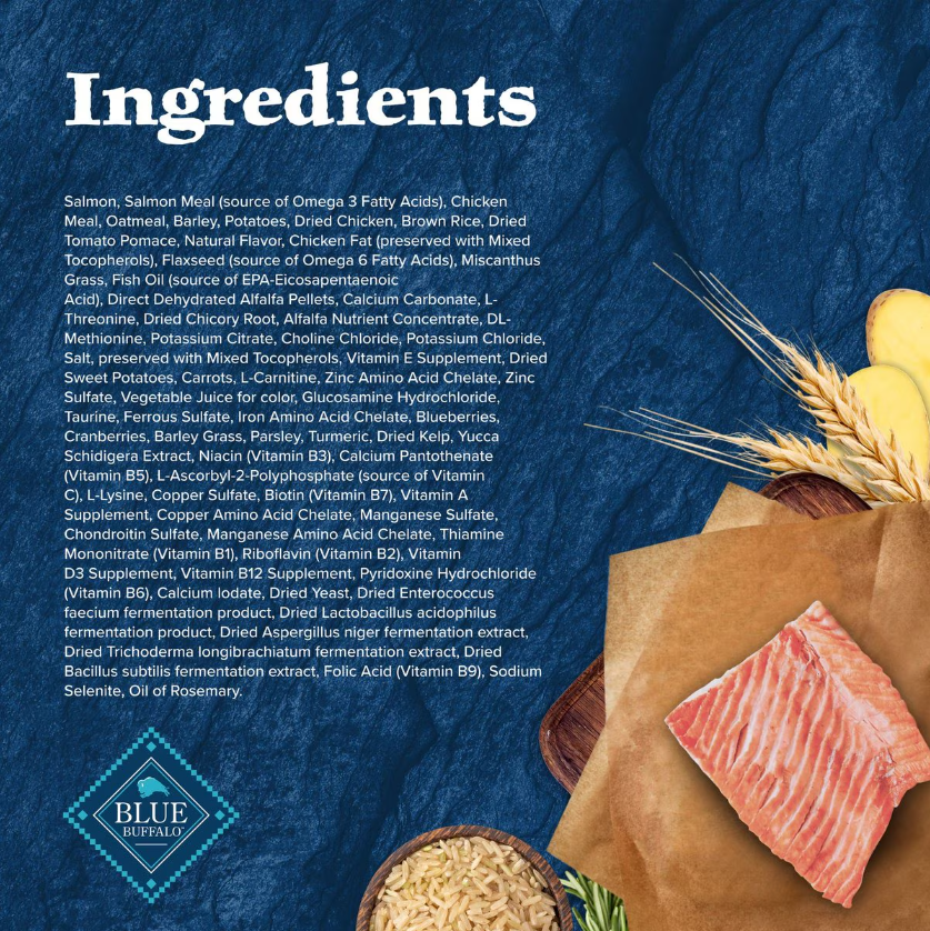 Blue Buffalo Wilderness Large Breed Adult Salmon HighProtein Dry Dog