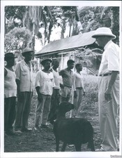 1963 Dr Albert Schweitzer Hospital Animals New Ward Lambarene Gabon Photo 7X9