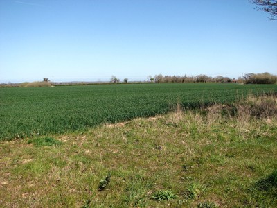 Photo 6x4 Fields by Guestwick  c2016